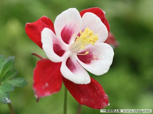 һ����Ҫ����һ��