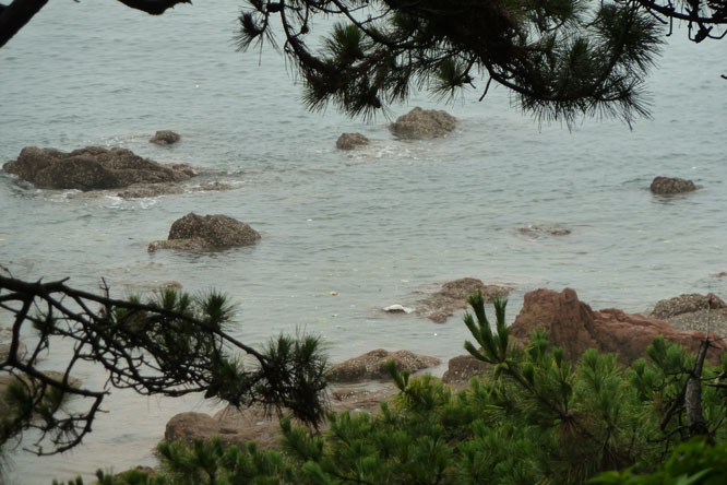 һ���������