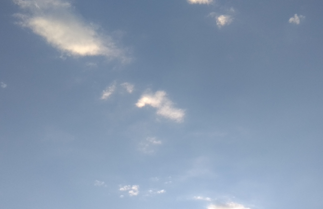 һ���������