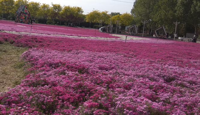 һ���������