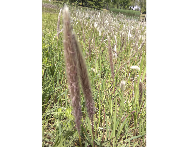 һ���������