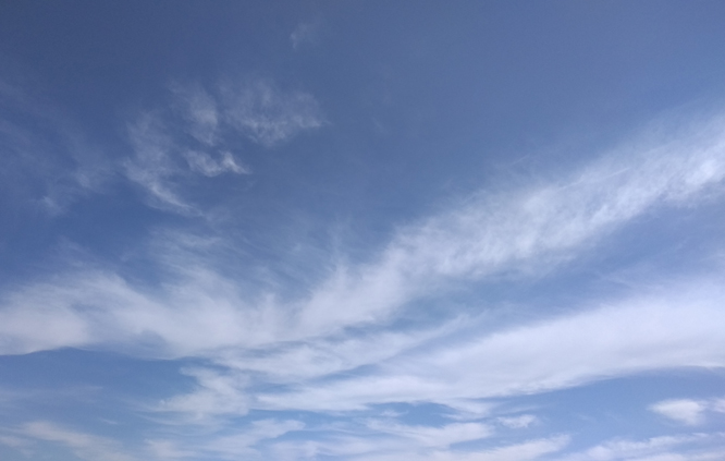 һ���������