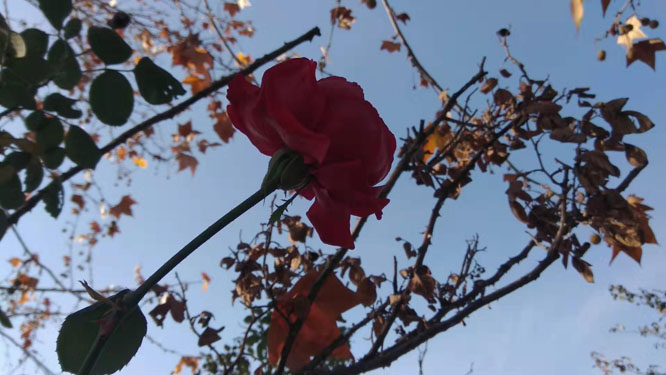 һ���������