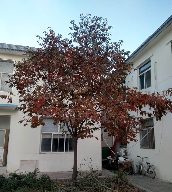 һ�仰˵͸���� 2021��͸������������