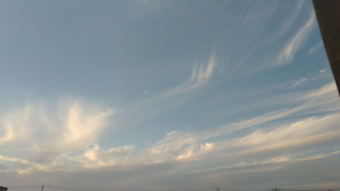 һ���������