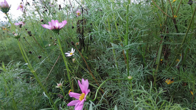 һ���������