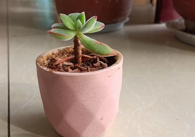 һ���������