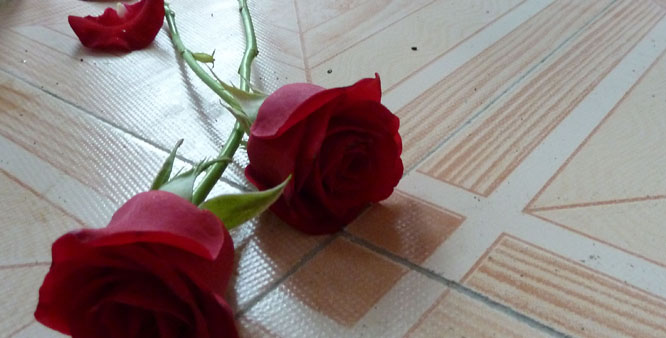 һ���������