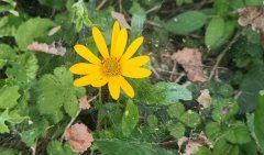 ���ڿ���־���ı䣿ʡʡ��������������˵