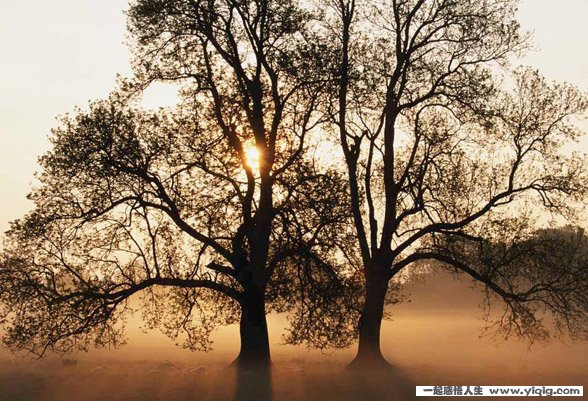 要心中先有目标 然后再去做事儿