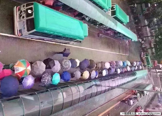 在香港排队的经历及随想