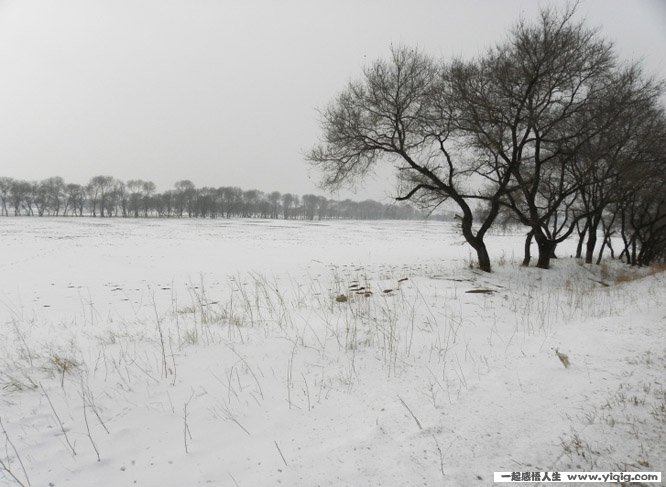 经典简短句子句句穿心